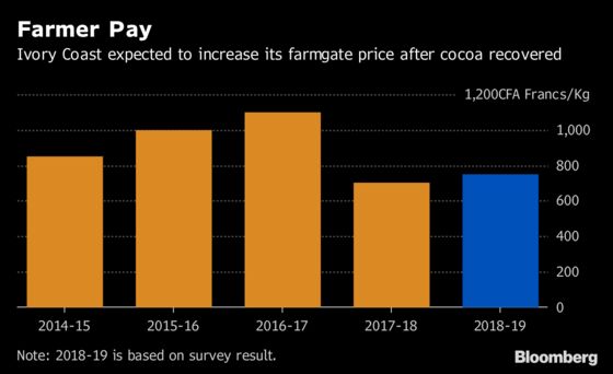 African Cocoa Harvest Begins With Test for World's Top Producers