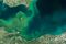 A toxic algal bloom in Lake Erie in 2014.