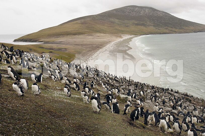 The Falkland Islands - 25 Years After The War