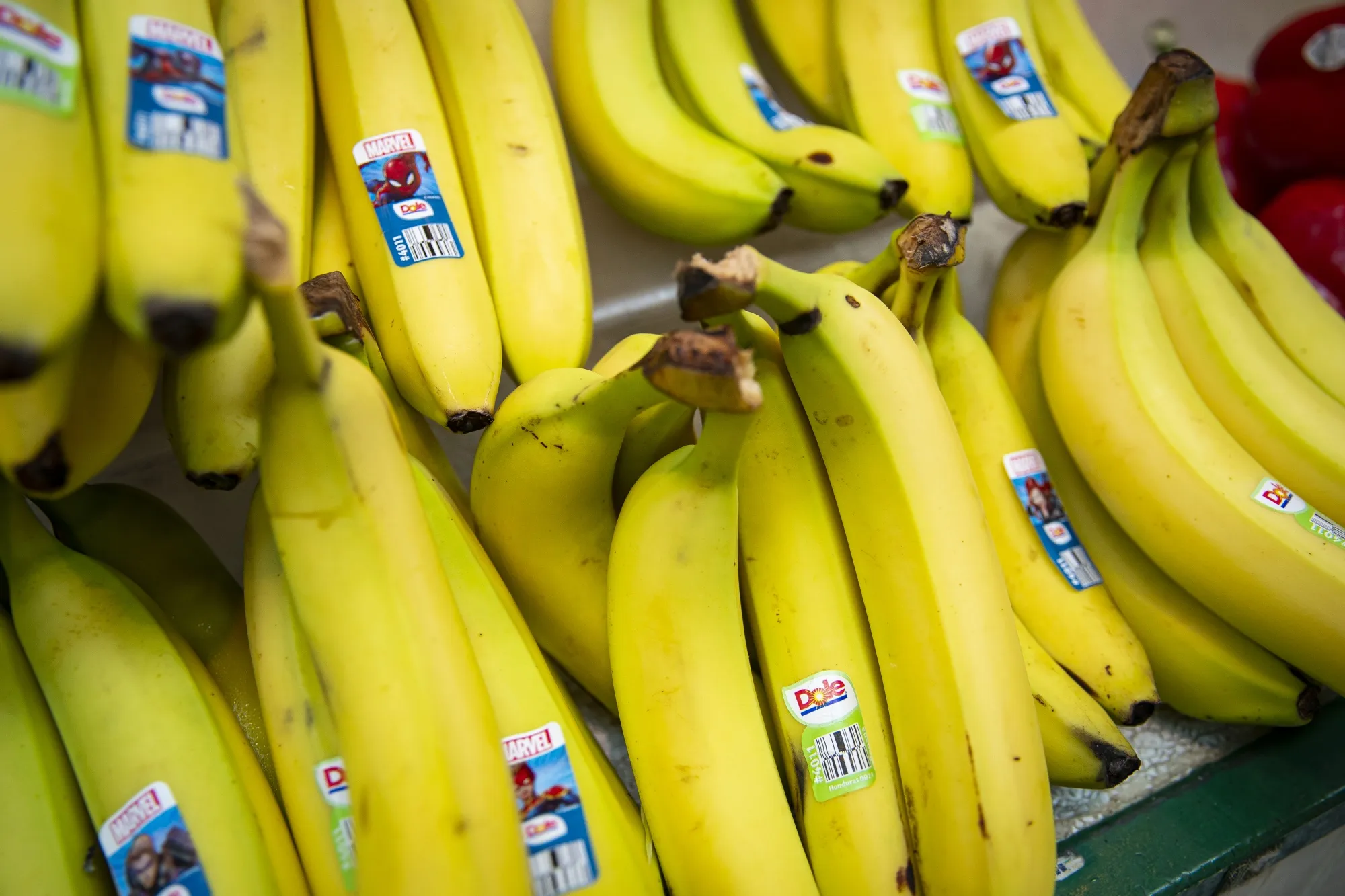 On an annual basis, food prices jumped a record 14.1% in August.