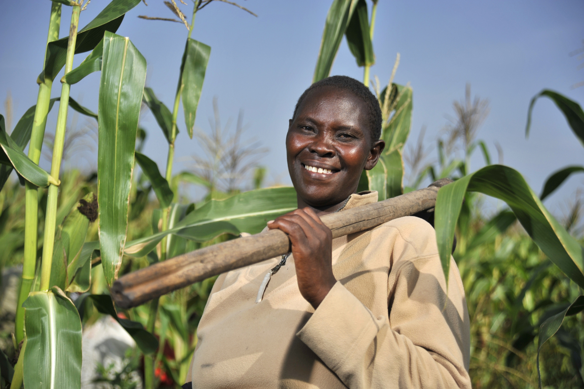 African Farmers Struggle to Feed Continent\u0026#39;s Booming Population - Bloomberg