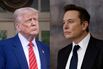 Donald Trump Elon Musk COMBO DIPTYCH