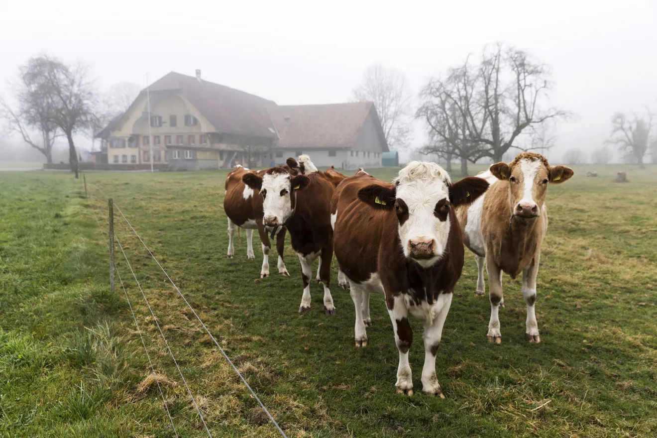 Swiss Property As Bubble Risk In Property Market Stays Elevated