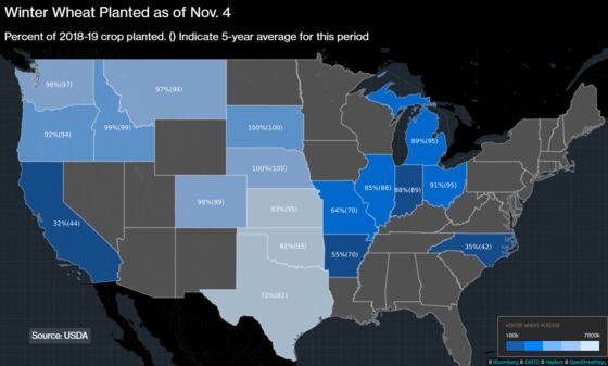 Nasty Weather Means Kansas Farmers Stop Planting Winter Wheat