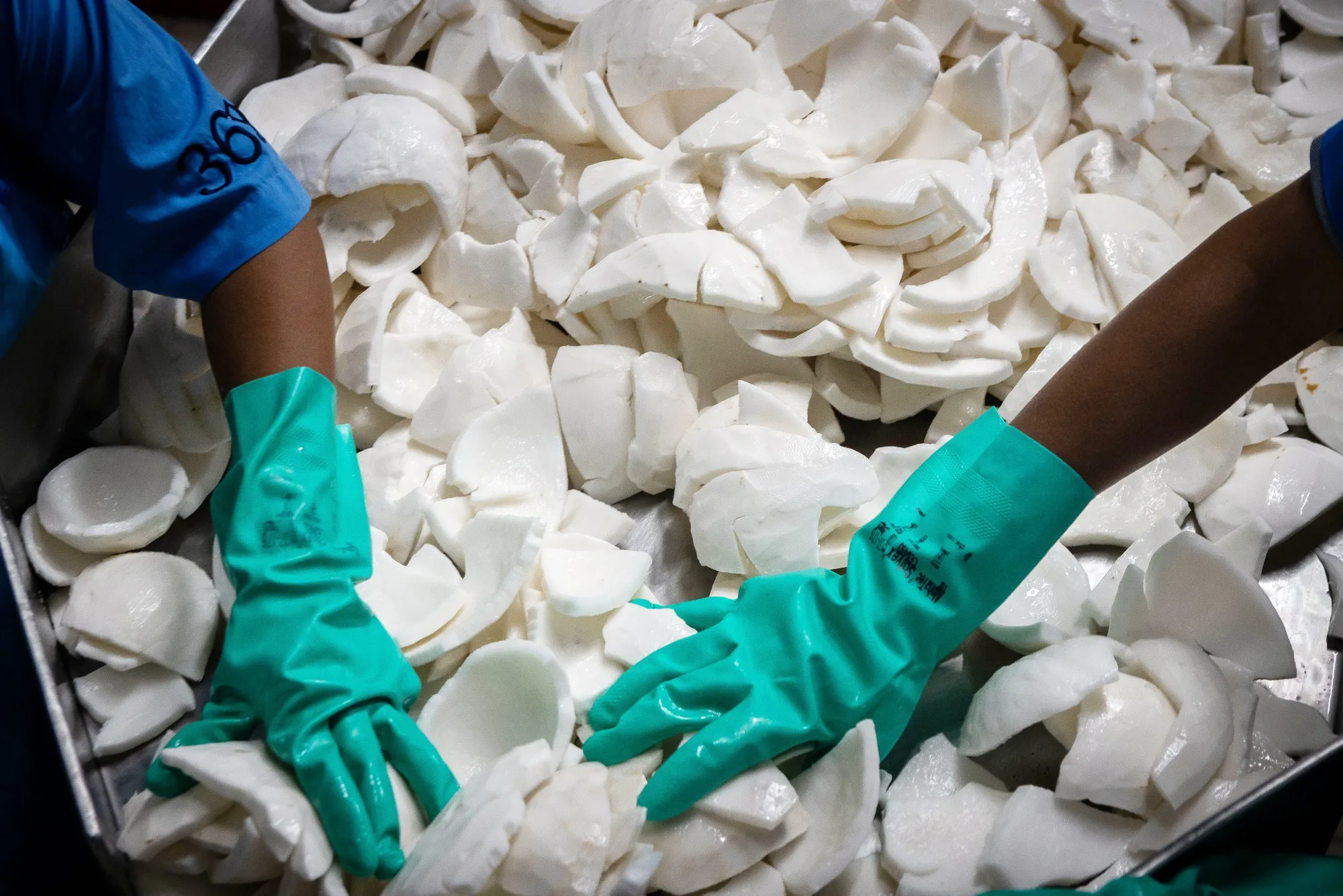 Global demand&nbsp;is expected to keep climbing thanks to the coconut’s reputation as a tasty lactose-free and plant-based option.