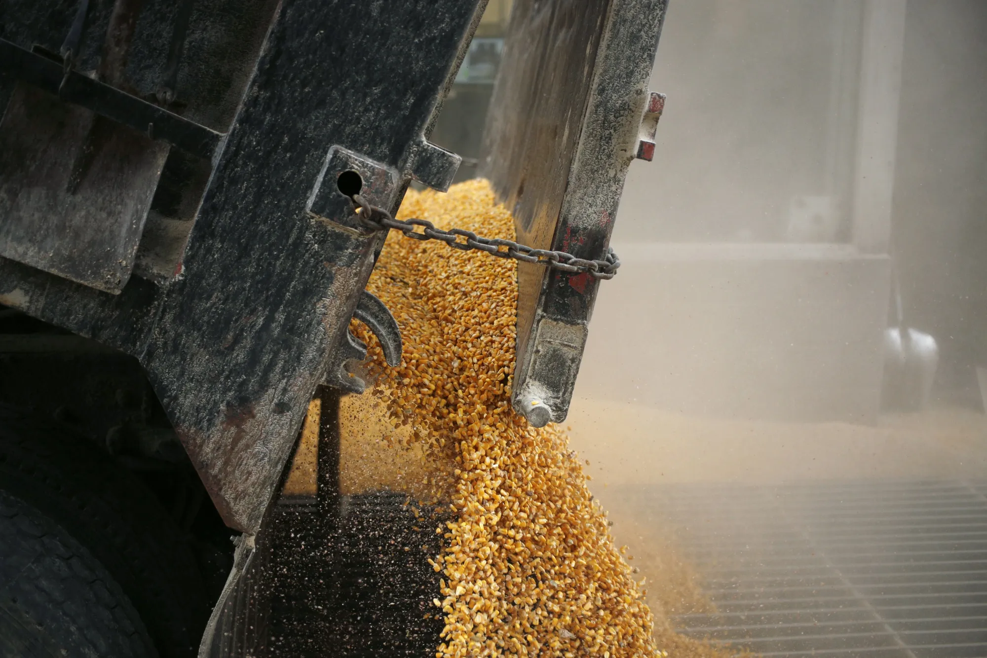 Kokomo Grain Co. Corn Transloading Facility As Trade War Impacts Farmers' Decisions