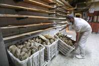 Inside A Bakery As Wheat Price At Highest Volatility In A Decade