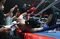 Down Goes Hamilton