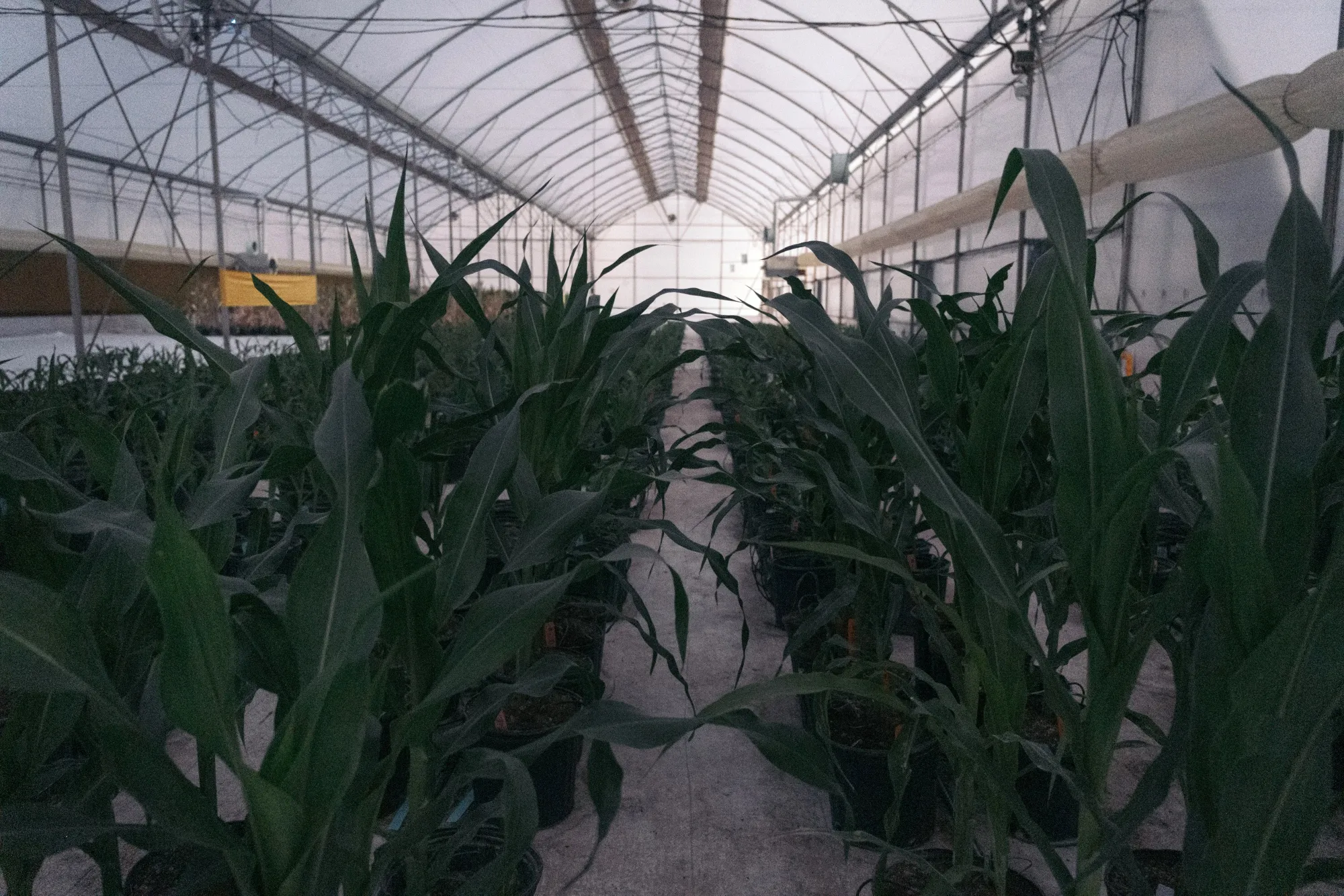Bayer Sees 100 Billion Opportunity in Shift to Regenerative Agriculture -  Bloomberg