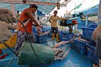 Inside Muara Angke Fish Market Ahead of CPI Figures