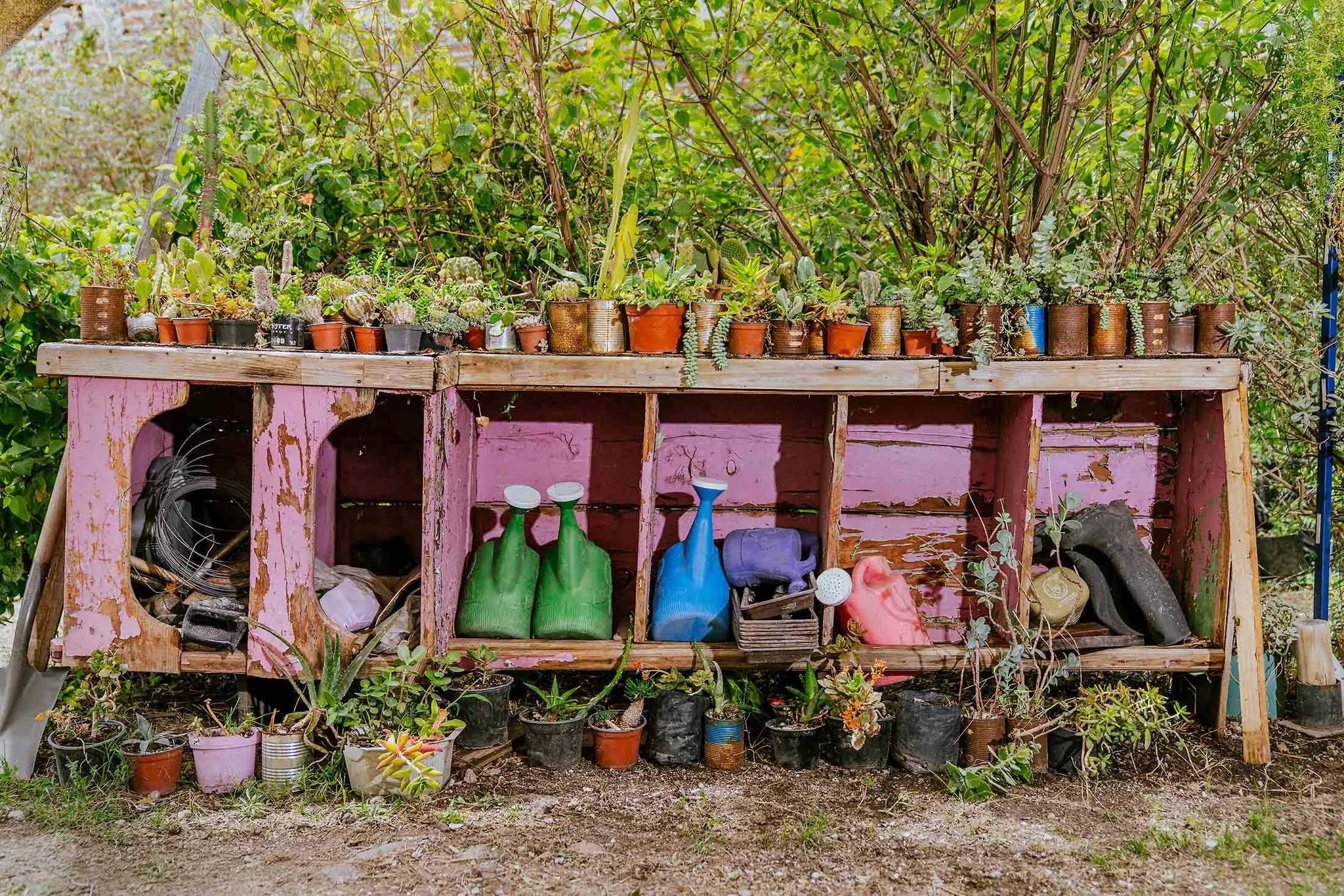 The Paraíso Colibrí&nbsp;nursery in Puebla, Mexico.
