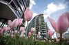 Residential Housing As U.K. House Prices Fall For First Time In Almost Two Years