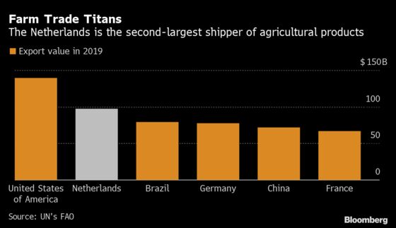 Gas Crisis Hits Food as Giant Dutch Greenhouses Go Dark