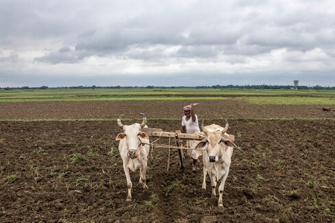 Modi Faces Dissent From Within on India Labor Laws Overhaul