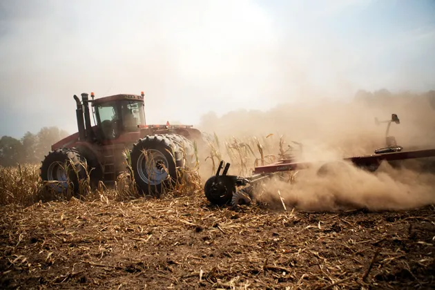 A tractor cuts down corn in a field designated as zero yield on a farm in Vigo County near Terre Haute, Ind.