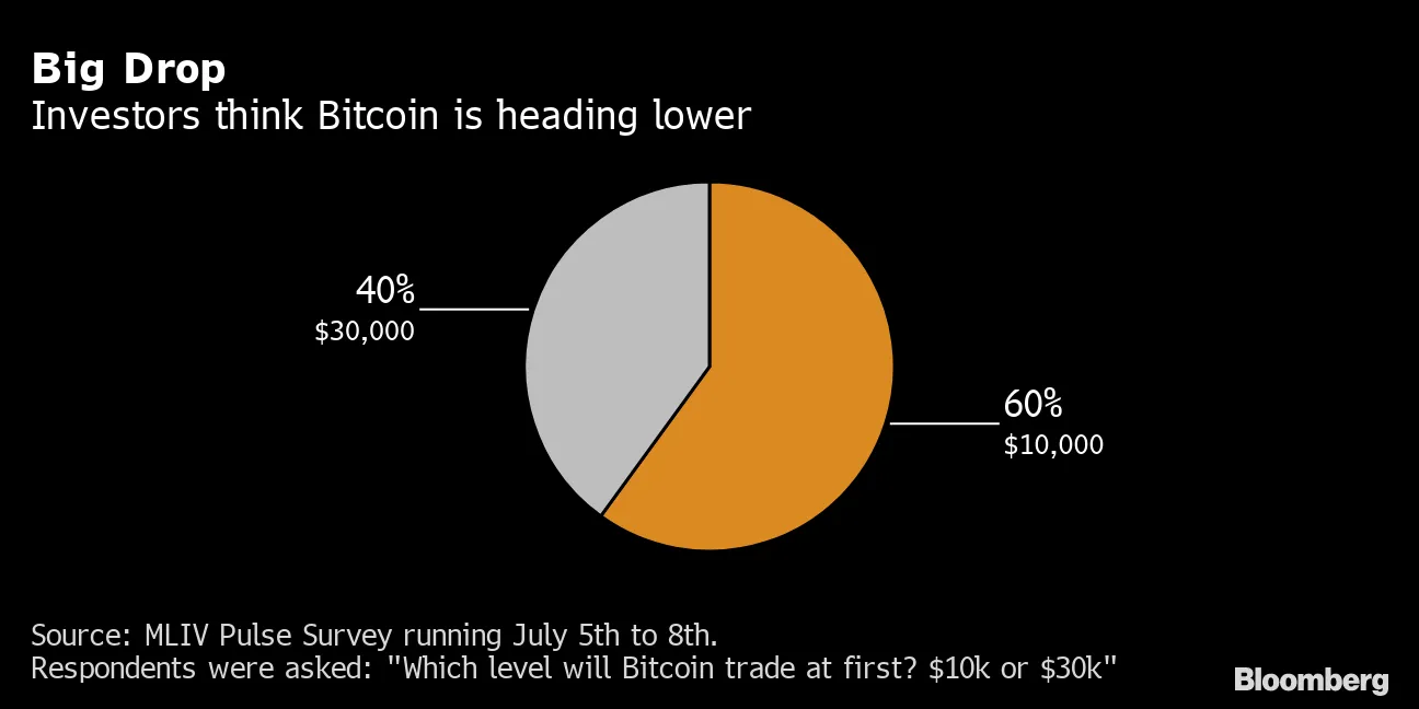Bitcoin Price (BTCUSD) More Likely to Hit $10,000 Than $30,000, Survey  Finds - Bloomberg