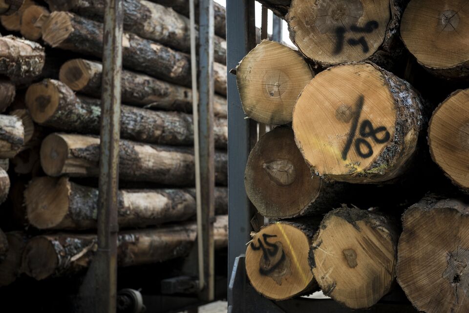 Trump Backs Wood Power Scientists Call Dirtier Than Coal Bloomberg