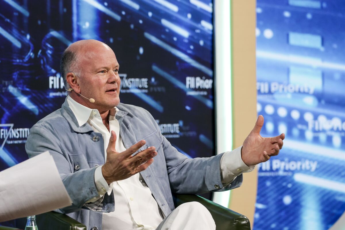 Novogratz Says AI Is in a Bubble, and Investors Should Pile in