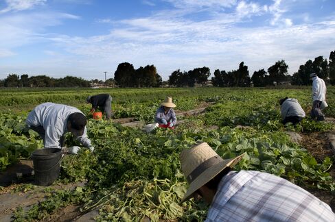 Farmland Values in U.S. Rise 11% to Record on Higher Crop Prices