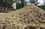 Arabica coffee beans sit out to sun dry after wet-processing at a coffee plantation in Madapura, Karnataka, India.