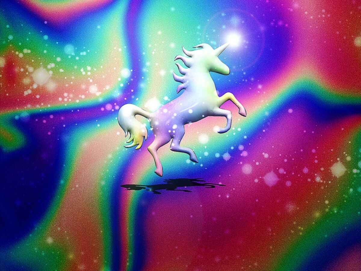 テック系ユニコーン、2割淘汰の公算大－アクセル・パートナーズ