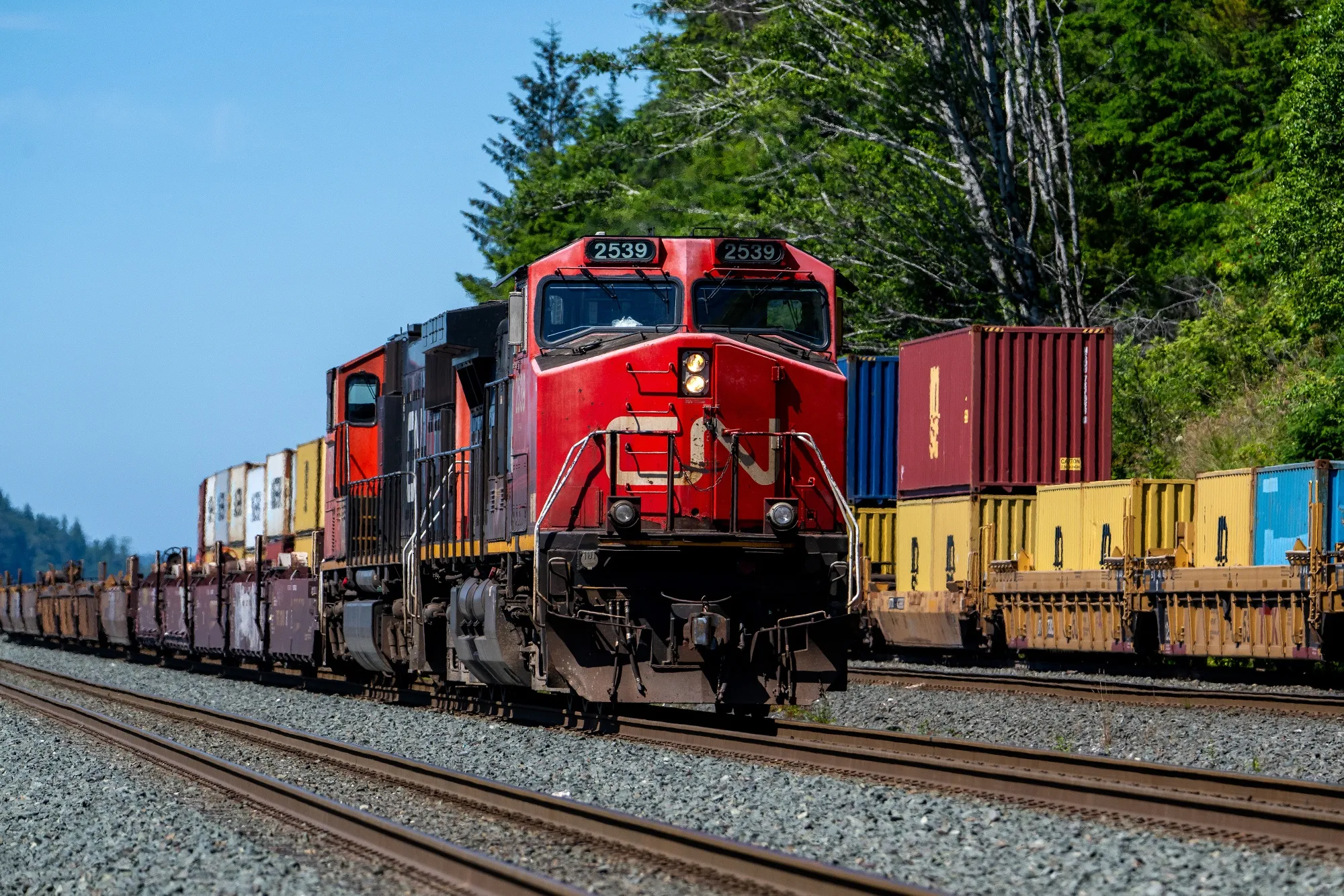 A Canadian National Railway Co. locomotive and rail cars.