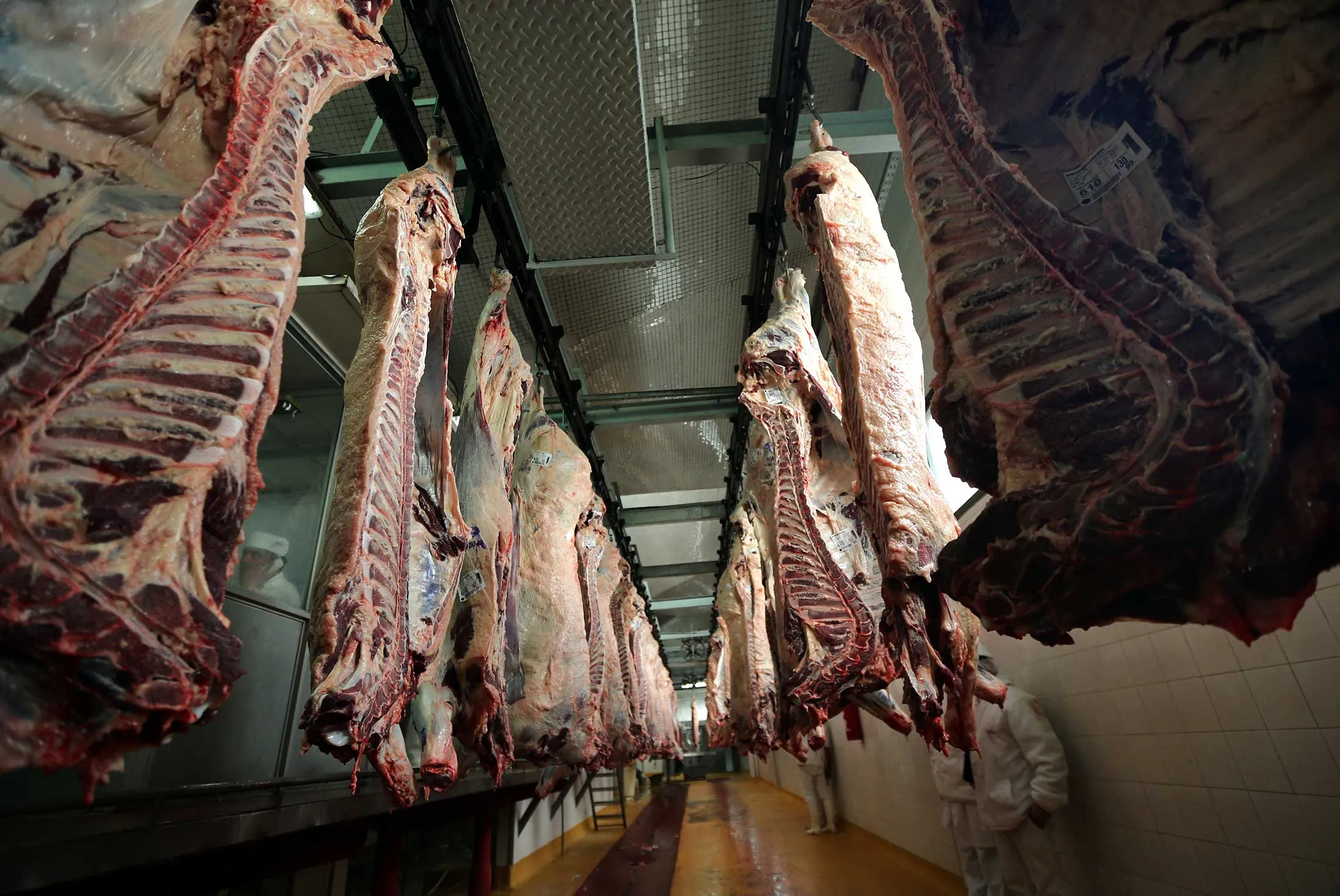 Cow carcasses at a slaughterhouse in San Fernando, Argentina.