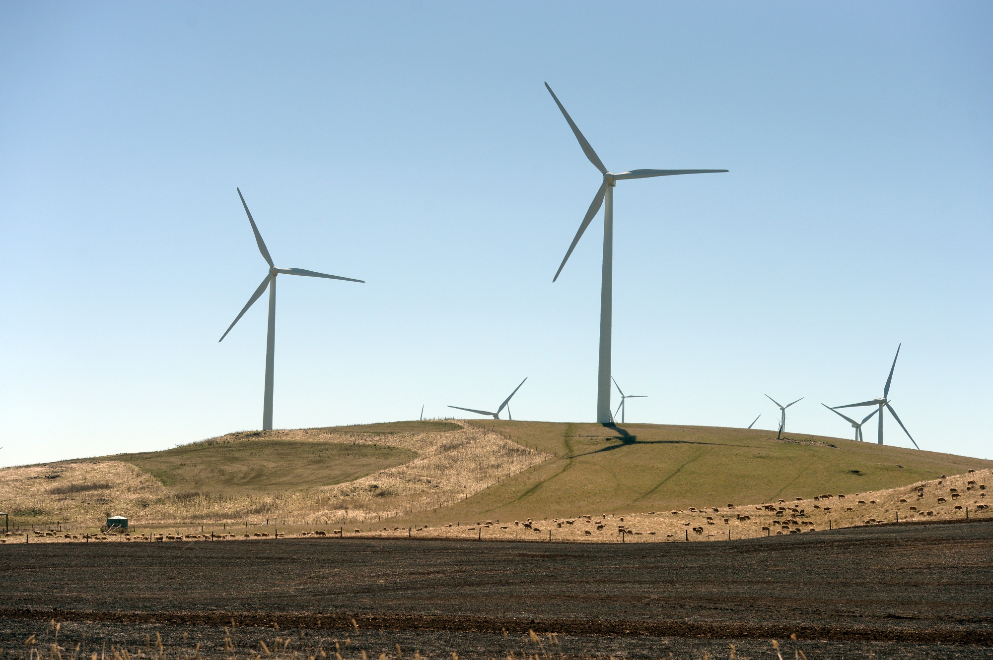 A wind farm in Waubra, Victoria, owned by Acciona Energia.
