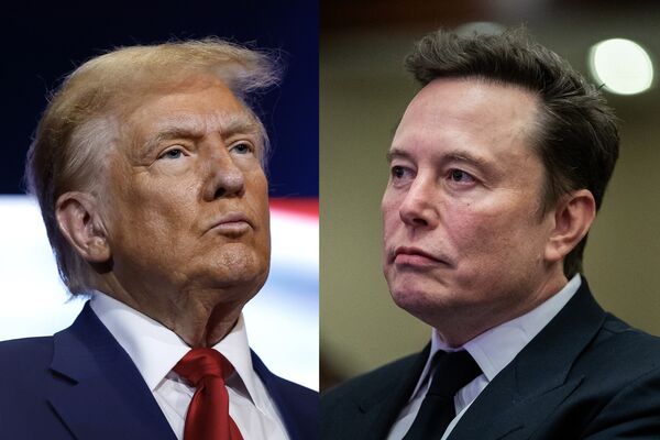 Donald Trump and Elon Musk DIPTYCH COMBO