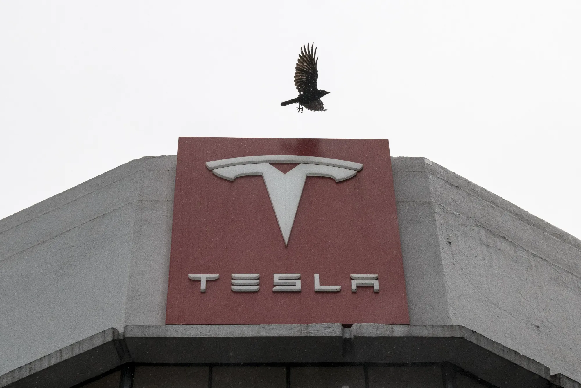 Tesla To Join S&P 500 Next Month As Largest-Ever New Member
