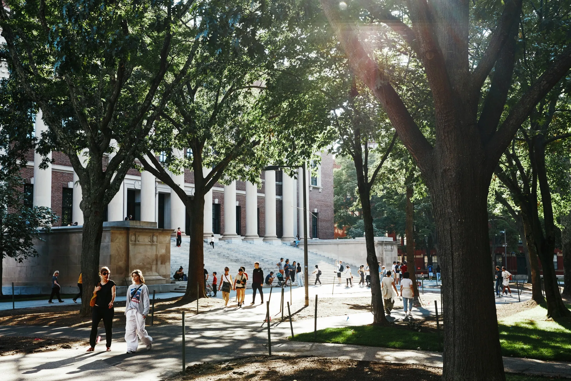 Harvard Endowment, Finances Tested by Trump Funding Freeze - Bloomberg