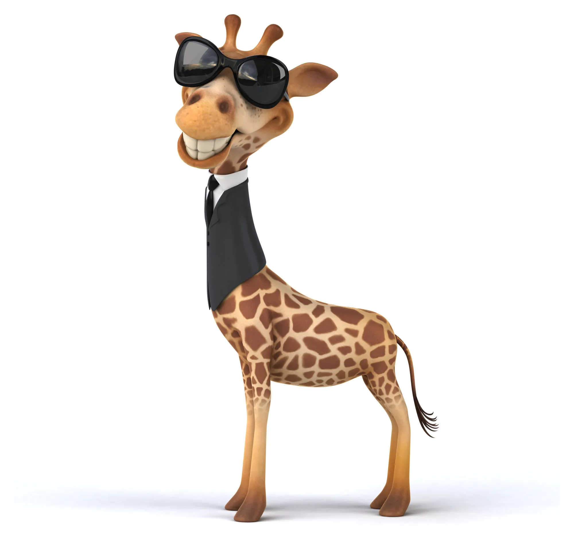 Fun giraffe