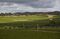Wineries in the Yarra Valley as China Tariffs Point to New Markets