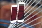 The new iPhone 6 and 6 Plus at an Apple store in Pasadena, California on Sept. 19, the first day of sale