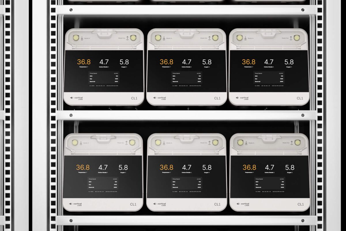 Human Brain Cells Run New Data Centers in Singapore, Melbourne - Bloomberg.com