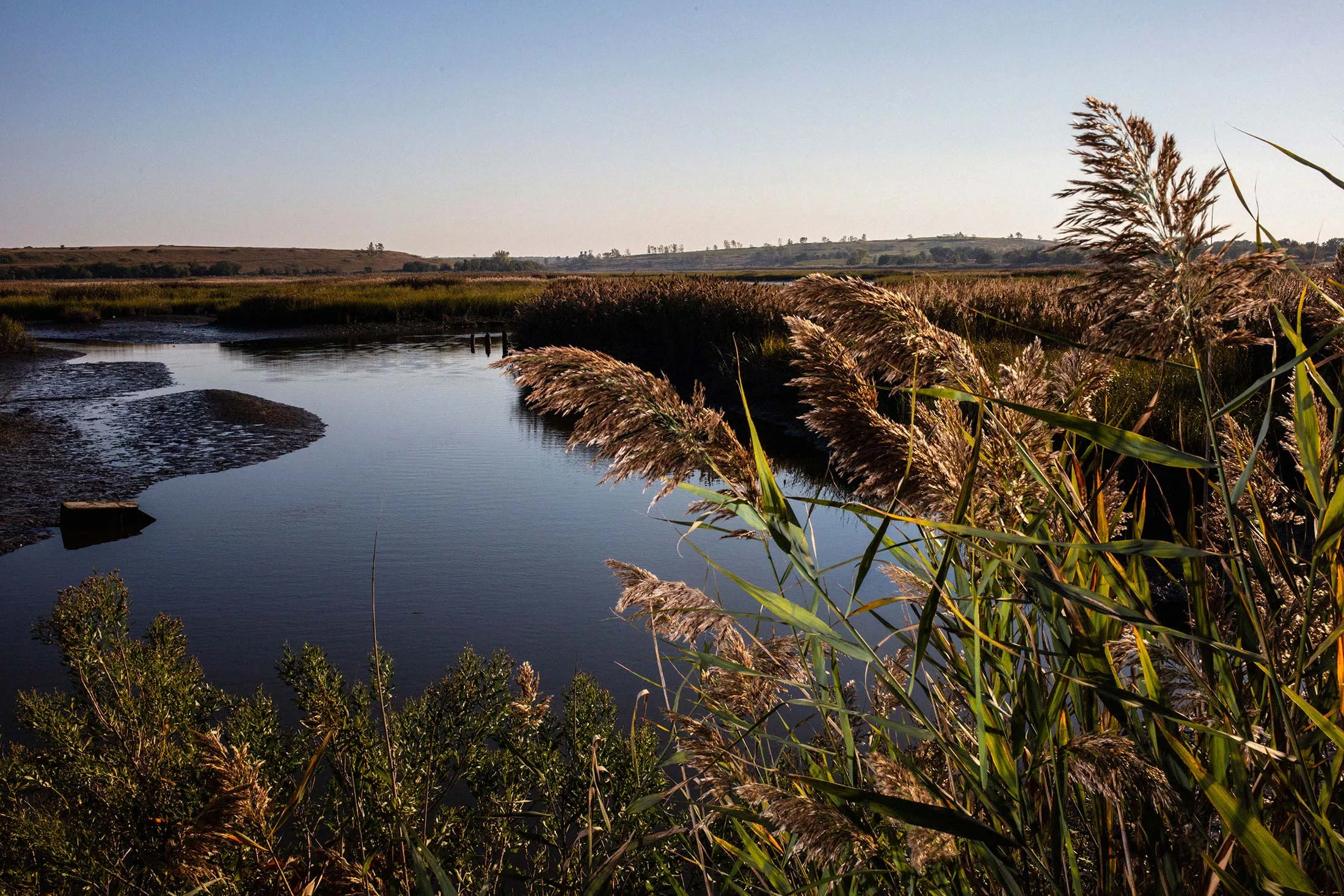 A view of Freshkills Park in Staten Island, N.Y., on October 4, 2023.