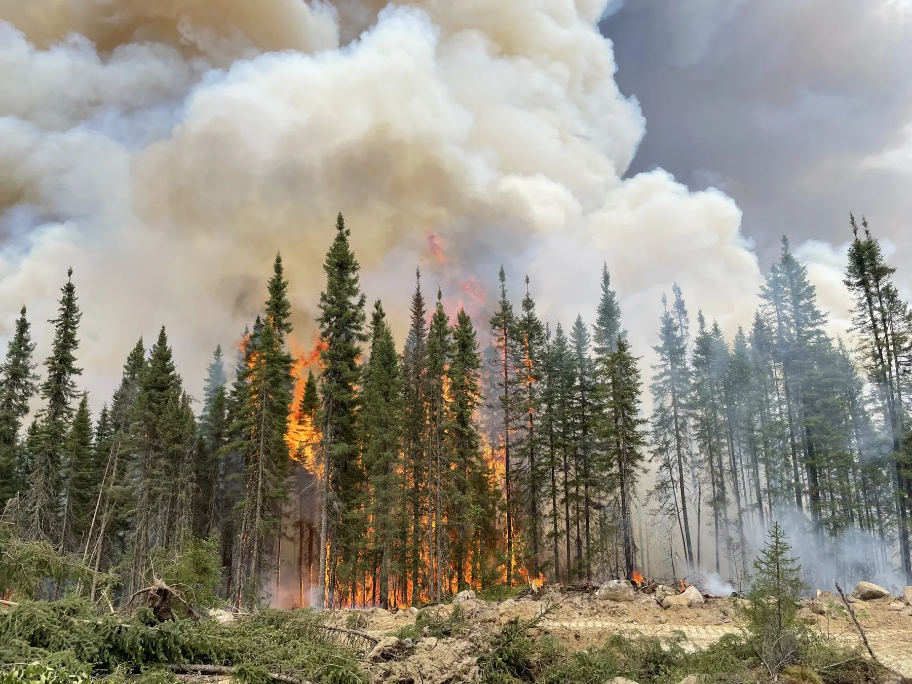 Study Links Canadian Wildfires to Human-Driven Climate Change