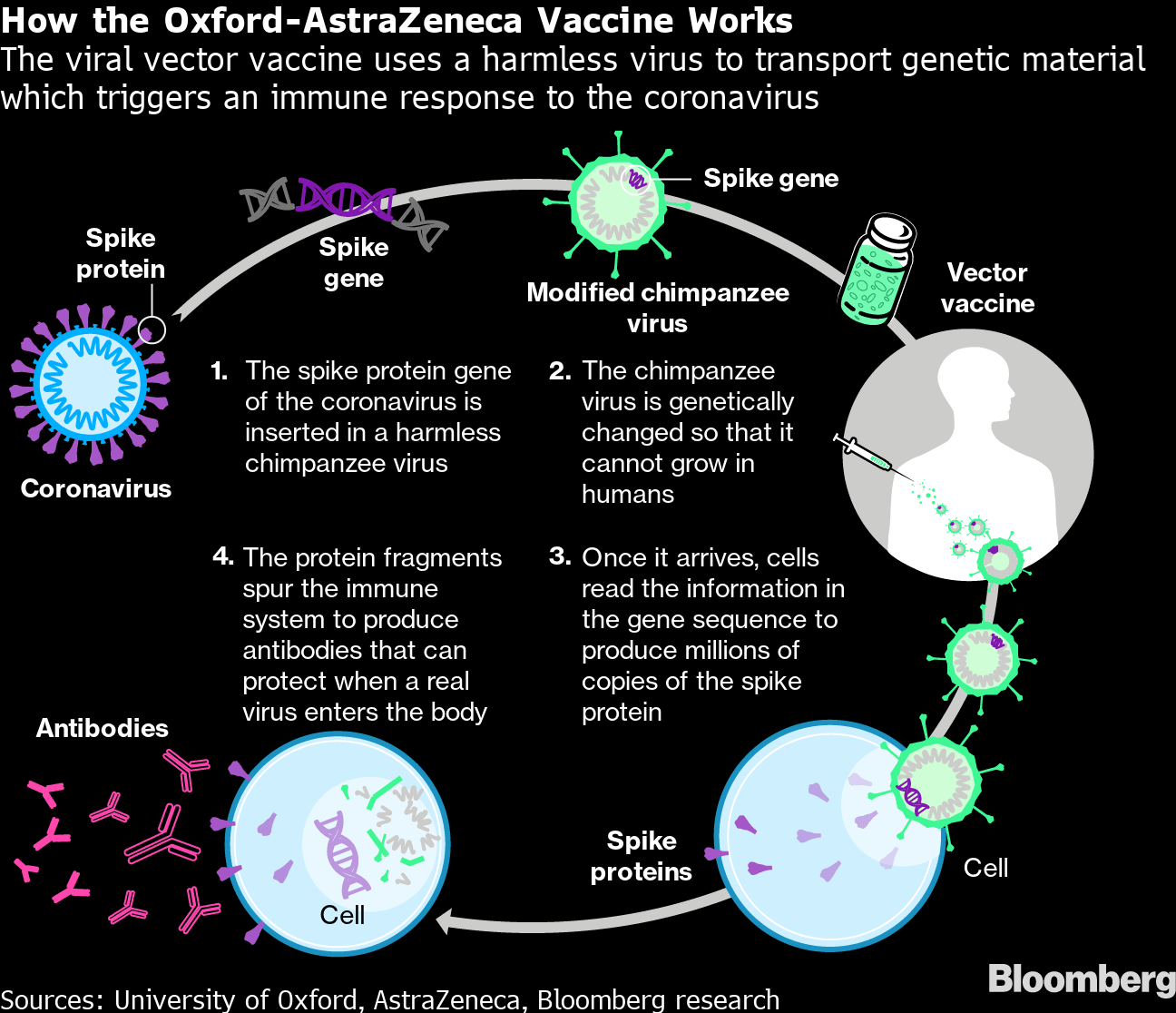 AstraZeneca (AZN)-Oxford Covid-19 Vaccine Prevents Average ...