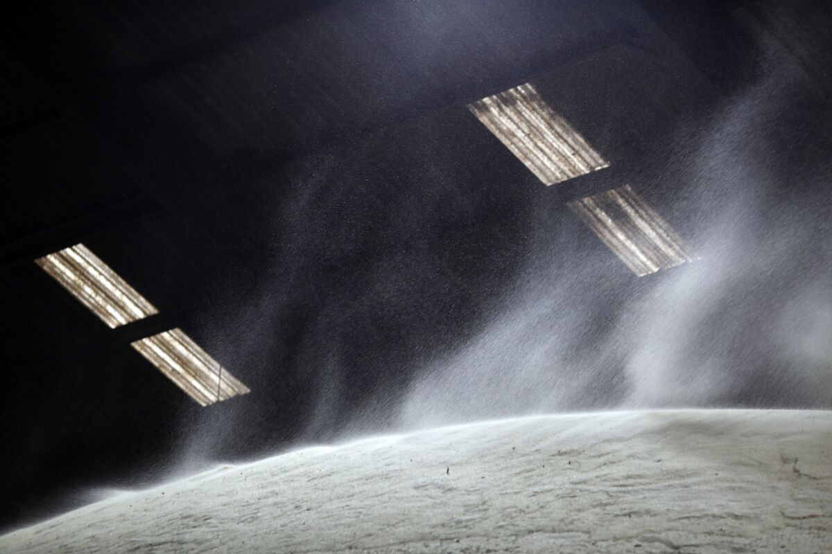 Raw Sugar Climbs as Indian Buying Interest Fuels Demand Hopes