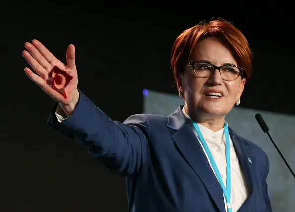 Turkey’s “she-wolf” is just one of Erdogan’s new challengers.&nbsp;