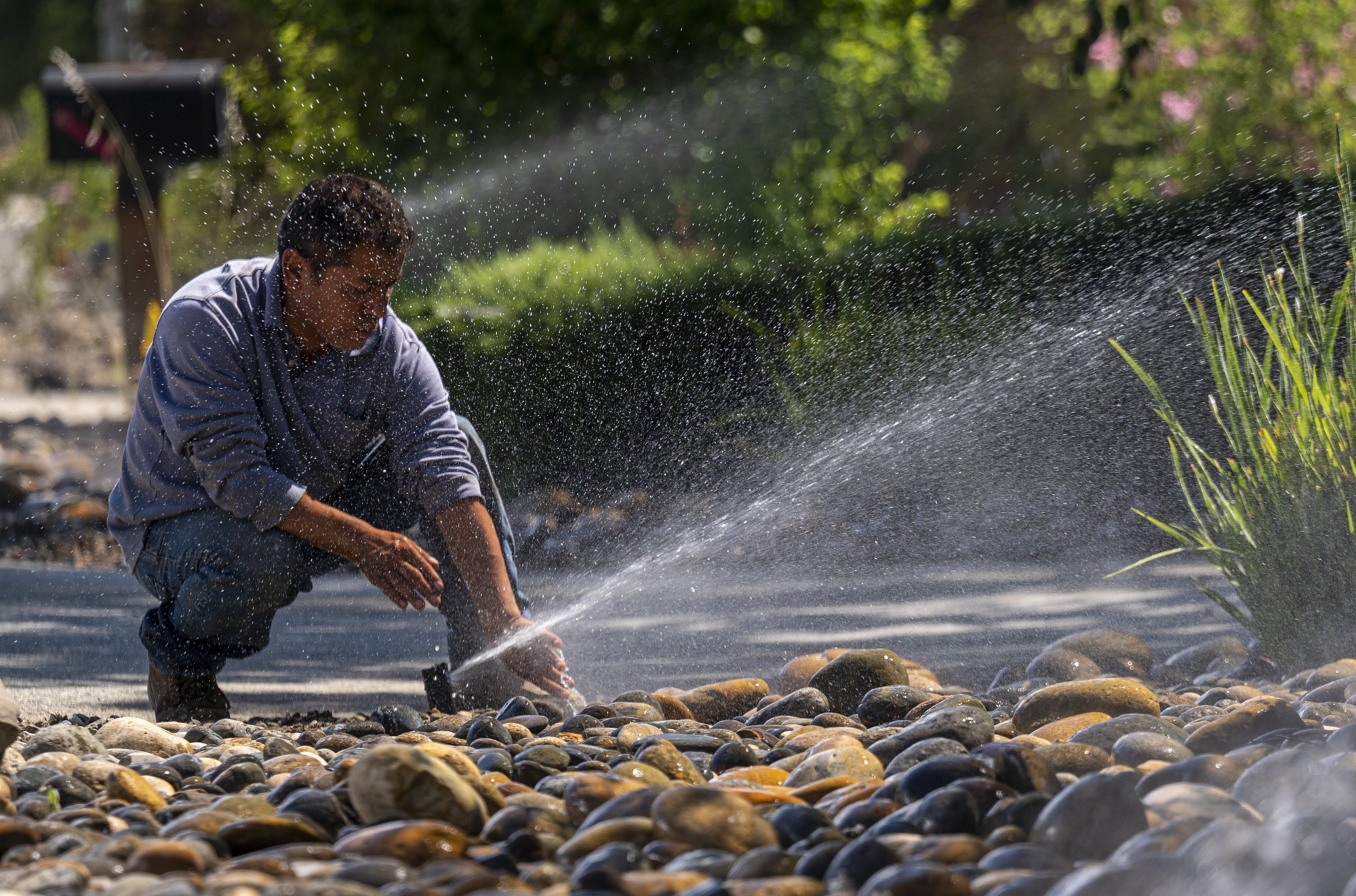 California water