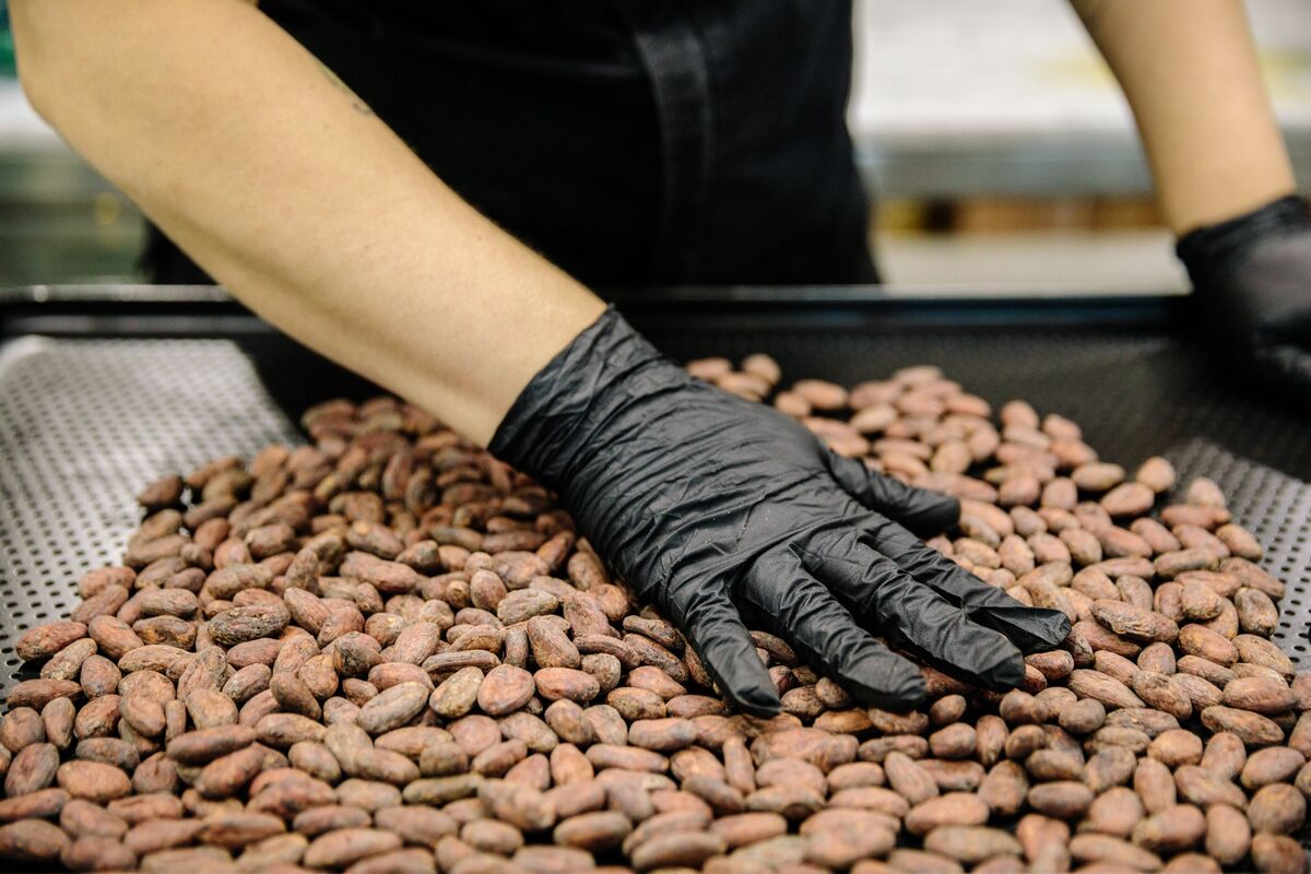 銅より高いカカオ豆、初のトン当たり9000ドル台－チョコ価格に波及へ
