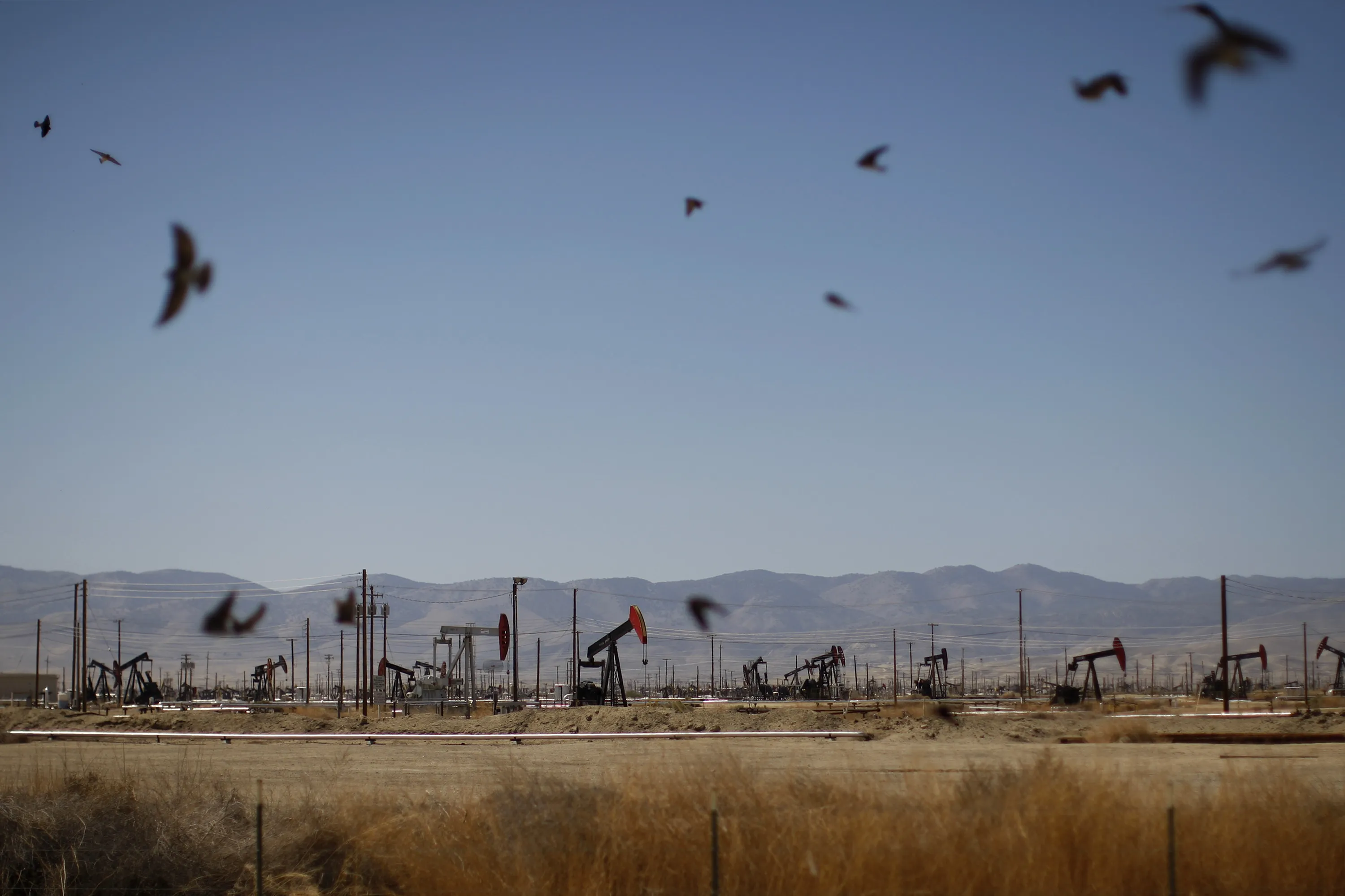 California oil.