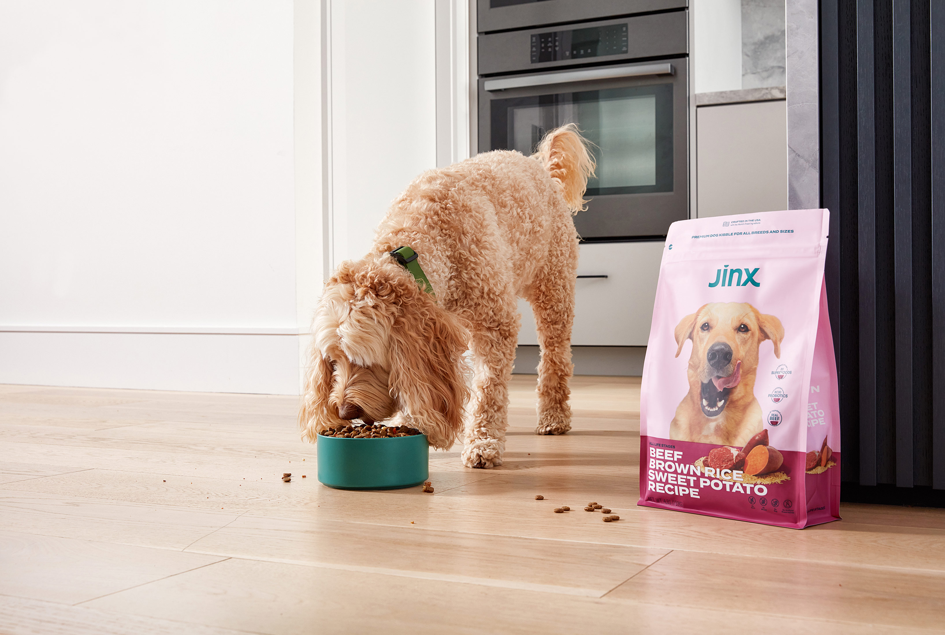 Chris Evans Backed Jinx Dog Food Raises Funds Adds Retailers