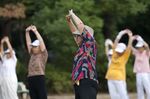 Elderly People Exercise Early Morning In Park
