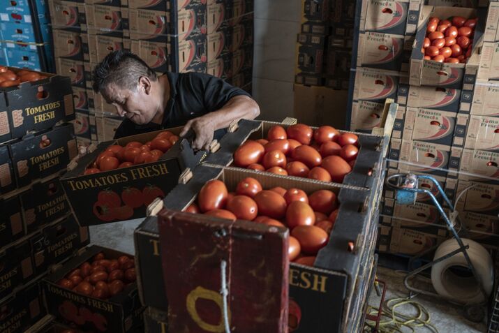 Trump's 17% Tariff On Mexican Tomato Comes Into Effect While Prices Could Rise In The US