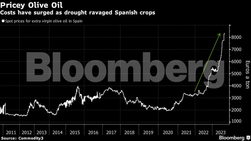 Pricey Olive Oil | Costs have surged as drought ravaged Spanish crops