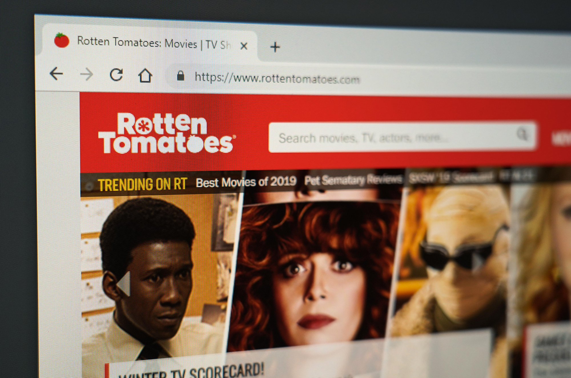 RottenTomatoes Reviews - 44 Reviews of Rottentomatoes.com