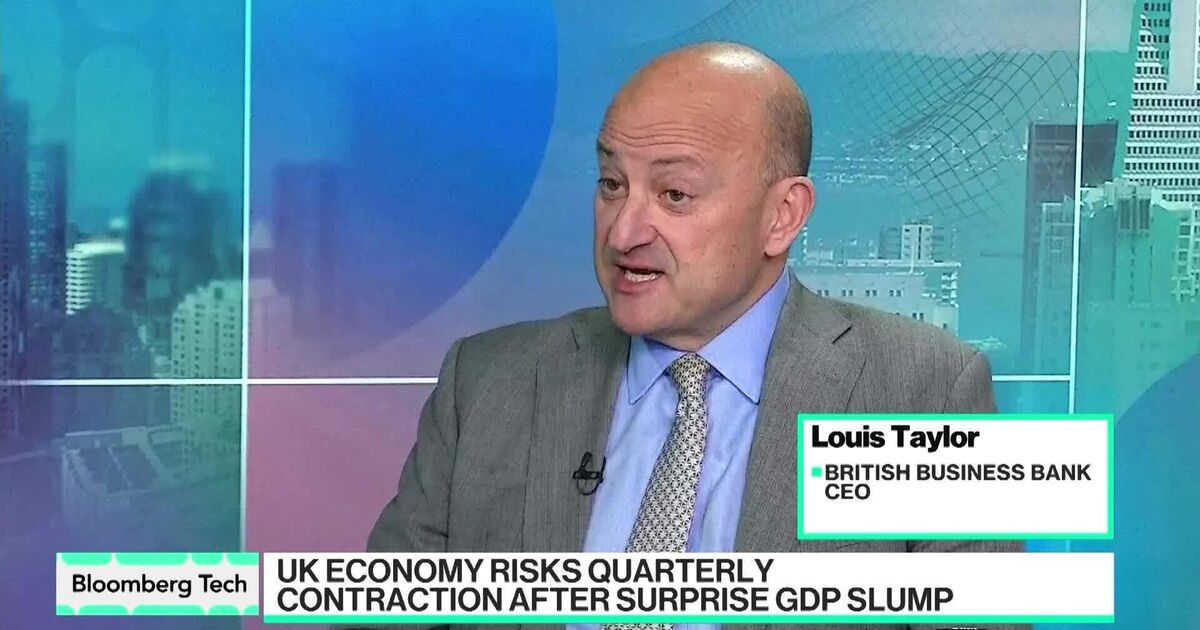 Fintech, AI Very Strong in UK: British Business Bank CEO