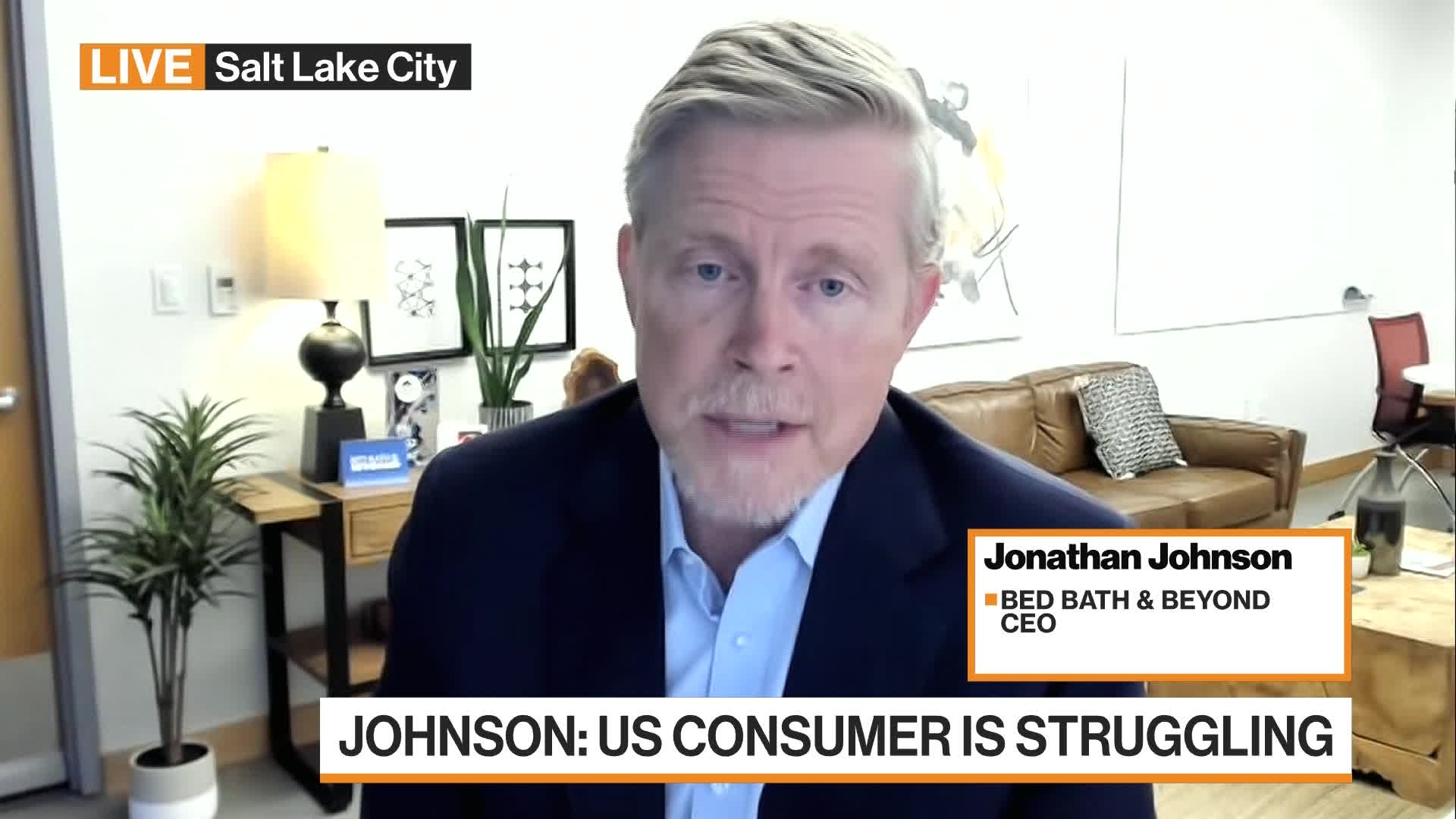 Watch Bed Bath and Beyond CEO: The US Consumer is Struggling - Bloomberg